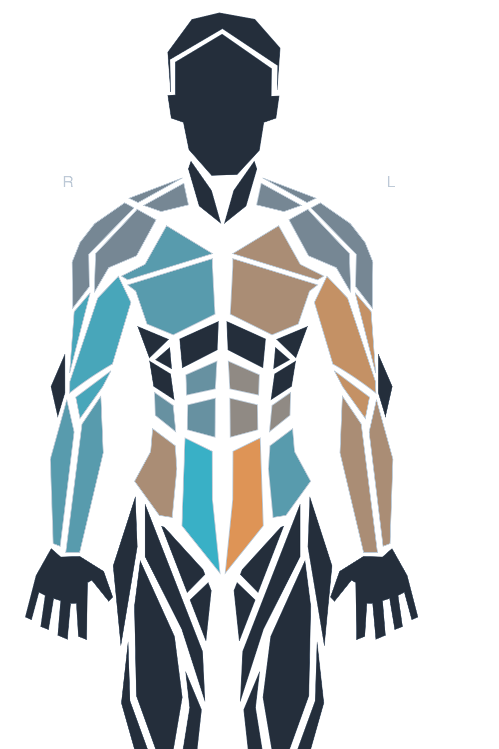 Avatar frontal de la aplicación ThermoUY con regiones de ambos lados coloreadas. Ejemplo con datos sintéticos.