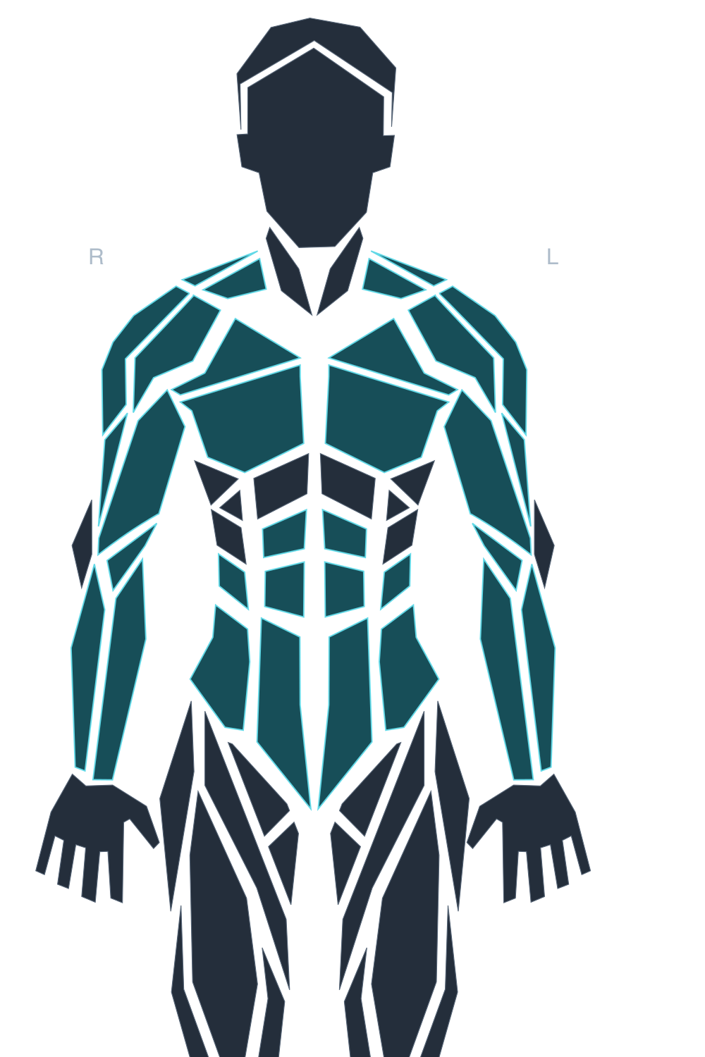 Avatar frontal de ThermoUY con las regiones candidatas del torso y los brazos destacadas en turquesa.